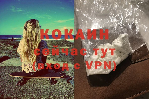 стаф Киренск