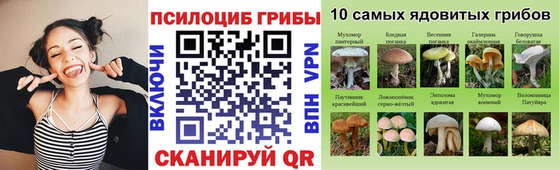 Купить  Жуков  Галлюциногенные грибы GOLDEN TEACHER 